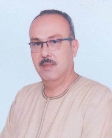 Mr. Magdy Shraki Moustafa